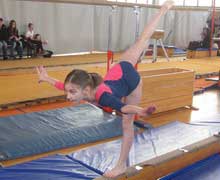 Gimnastika 2013